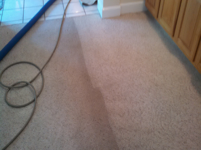 carpetcleaning3.jpg